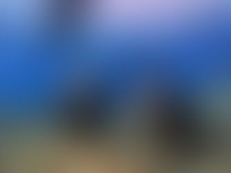 2024.3/25 夢が叶った!