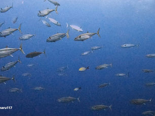 2024.4/24 遠征𝐃𝐚𝐲🥴