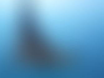 2024.11/3今日はヨナラへ