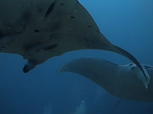 2024.6/8 ヨナラ解禁