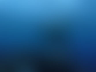 2025.12/15OWD&AOW講習最終日！