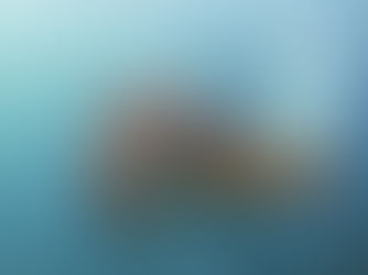 2025.5/14まだまだマンタ絶好調!