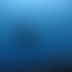 2026.3/27マンタを求めて