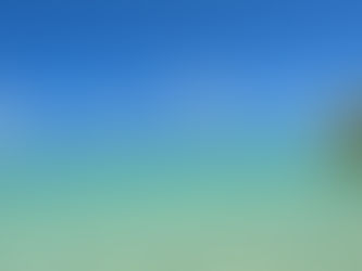 2024.6/26 幻の島に行ってきました♪