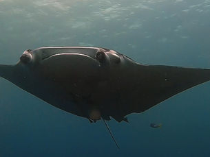 2024.5/12 体験ダイバーさま ようこそ🤗