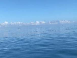 2024.8/3 ツルツルぺたぺた