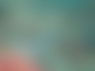 2025.8/11 モエギハゼに会いに