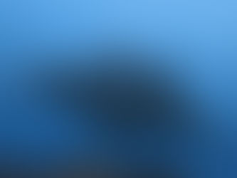 2026.4/5 パナリでマンタ三昧、ヨナラ水道でじっくり砂地ダイブ