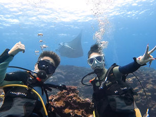 2024.5/22 今日もマンタ絶好調