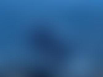 2026.4/18 コブシメ大集結、激しい求愛とオスの威嚇