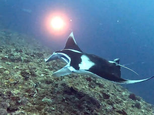 2025.10/20 悪天候が続いています