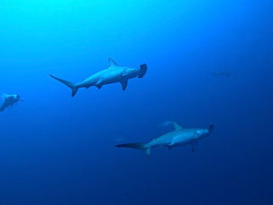 2026.3/6〜8 与那国ツアー