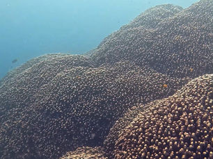 2025.7/7 台風の影響で