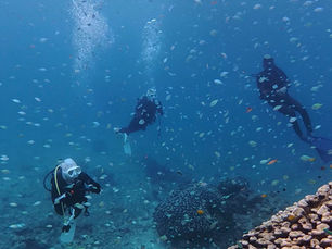 2026.3/3ひな祭りは爆シケ