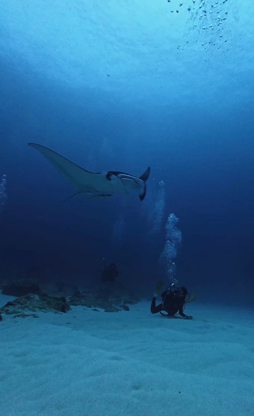 2026.4/4大時化からスタート