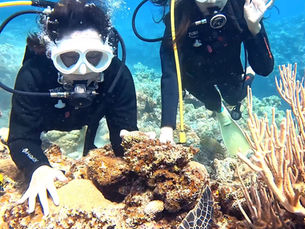 2025.8/25 ウミガメに会いに