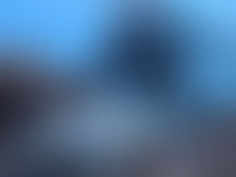 2025.11/26 大崎でウミガメもマクロも盛りだくさん