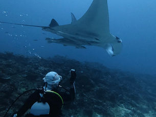 2026.3/4 荒れ模様の海、それでもヨナラへ