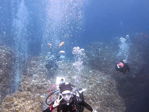 2024.8/17ワイドな日