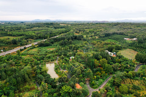 Go to Page Natural Consciousness