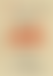 「猫本市」開催のお知らせ♪