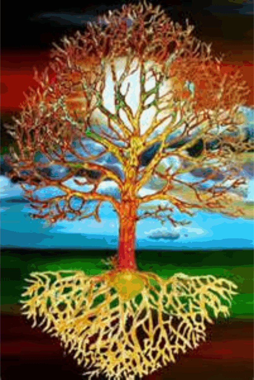 tree of life.gif