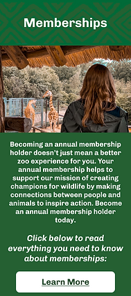 Memberships.png