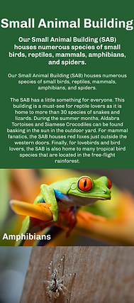 Small Animal Building.png