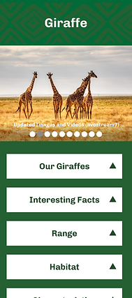 Giraffe.png