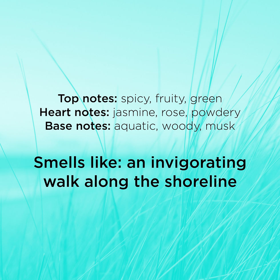 Thumbnail: Spongelle Wild Flower - Beach Grass