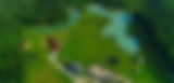 images (21).jpeg