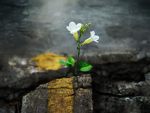 Η ΕΥΤΥΧΙΑ ΩΣ ΔΥΝΑΤΟΤΗΤΑ