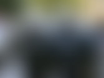 51χρονος ταμπουρωμένος με καραμπίνα στο σπίτι του - Η ΕΛ.ΑΣ. ετοιμάζει έφοδοη: Ο 51χρονος με το όπλο παραμένει ταμπουρωμένος στο σπίτι του - Η ΕΛ.ΑΣ. ετοιμάζει έφοδο