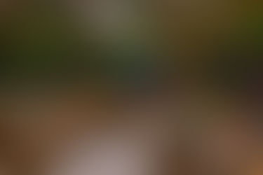 Έκλεισε το Avenue 32, ο «αστικός κήπος» στην Πλατεία της Νέας Σμύρνης