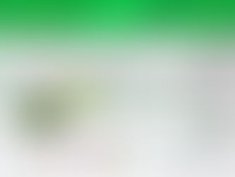 Γκολ της Αγάπης: Φιλανθρωπικό Τουρνουά Ποδοσφαίρου για τη Στέγη «Άγιος Αλέξανδρος»