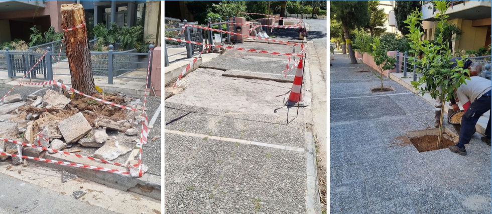 Ο Δήμος Παλαιού Φαλήρου αντικαθιστά τα δέντρα που κόβει σε αντίθεση με τον Δήμο Νέας Σμύρνης