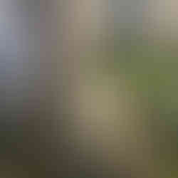 Παραχώρηση οικοπέδου για την ανέγερση του ΚΔΑΠ ΑμεΑ Νέας Σμύρνης