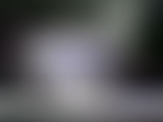 Διαρρήξεις για το τίποτα