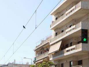 Στη Νέα Σμύρνη το ενοίκιο για ένα διαμέρισμα 100 τ.μ. έχει φτάσει περίπου στα 1000 ευρώ, τιμή που αποτελεί τον μέσο όρο στα ενοίκια κατοικιών τόσο στα νότια όσο και στα βόρεια προάστεια