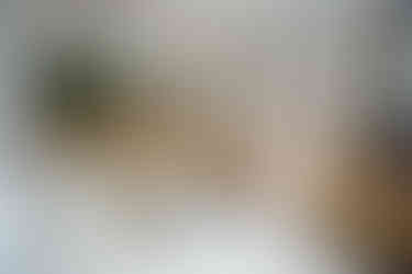 Στόχος επαγγελματιών διαρρηκτών το "Gruppo Ottico" – Η ηχηρή «απάντηση» με λαμπερά εγκαίνια τη Δευτέρα