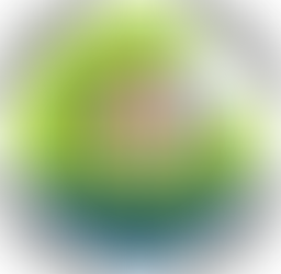 Εκδήλωση για χρηματοδοτούμενο πρόγραμμα από τον σύλλογο ΑΛΜΑ στο Παλαιό Φάληρο