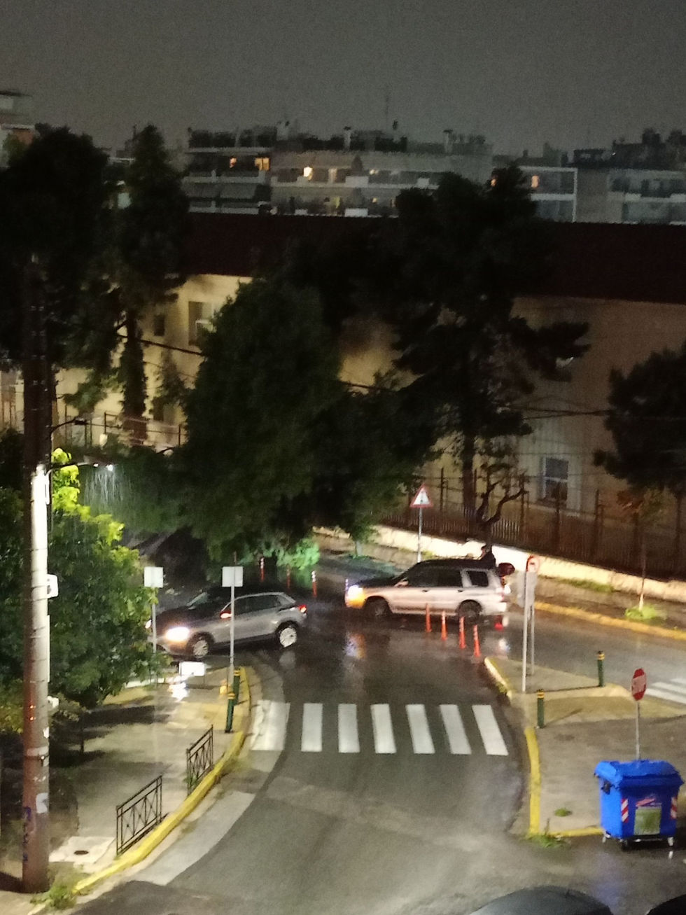 Τεράστιο δέντρο έπεσε μέσα στη μέση της Αιγαίου