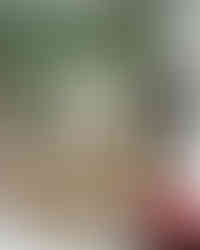 Στόχος επαγγελματιών διαρρηκτών το "Gruppo Ottico" – Η ηχηρή «απάντηση» με λαμπερά εγκαίνια τη Δευτέρα