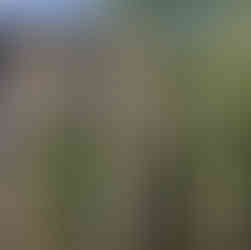 Παραχώρηση οικοπέδου για την ανέγερση του ΚΔΑΠ ΑμεΑ Νέας Σμύρνης