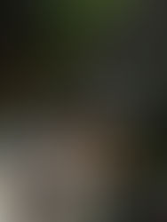 Θεσσαλονίκη - Νέα Σμύρνη σε 7 ώρες αεροπορικώς...