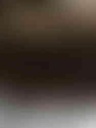 Νέα Σμύρνη: «Πρασινίζουν» τα παρτέρια της Κεντρικής Πλατείας