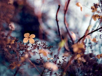 Οκτώβριος: Η καρδιά του φθινοπώρου