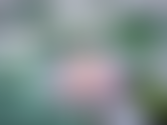 Empowering Birth and Beyond: Holistic Services for Major Transitions