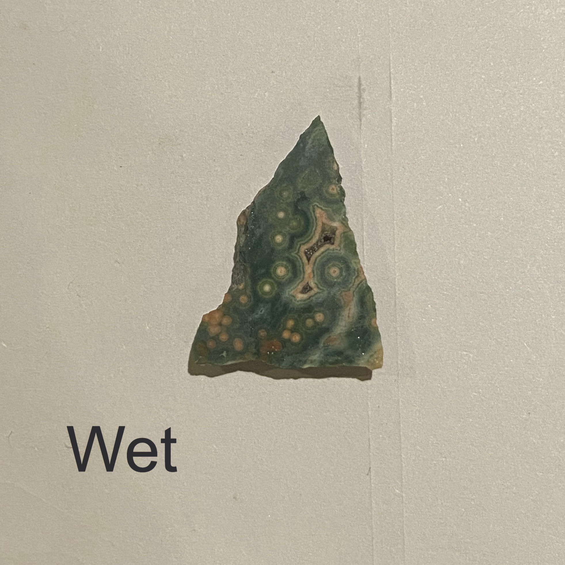 Orbicular Sea-Type Jasper