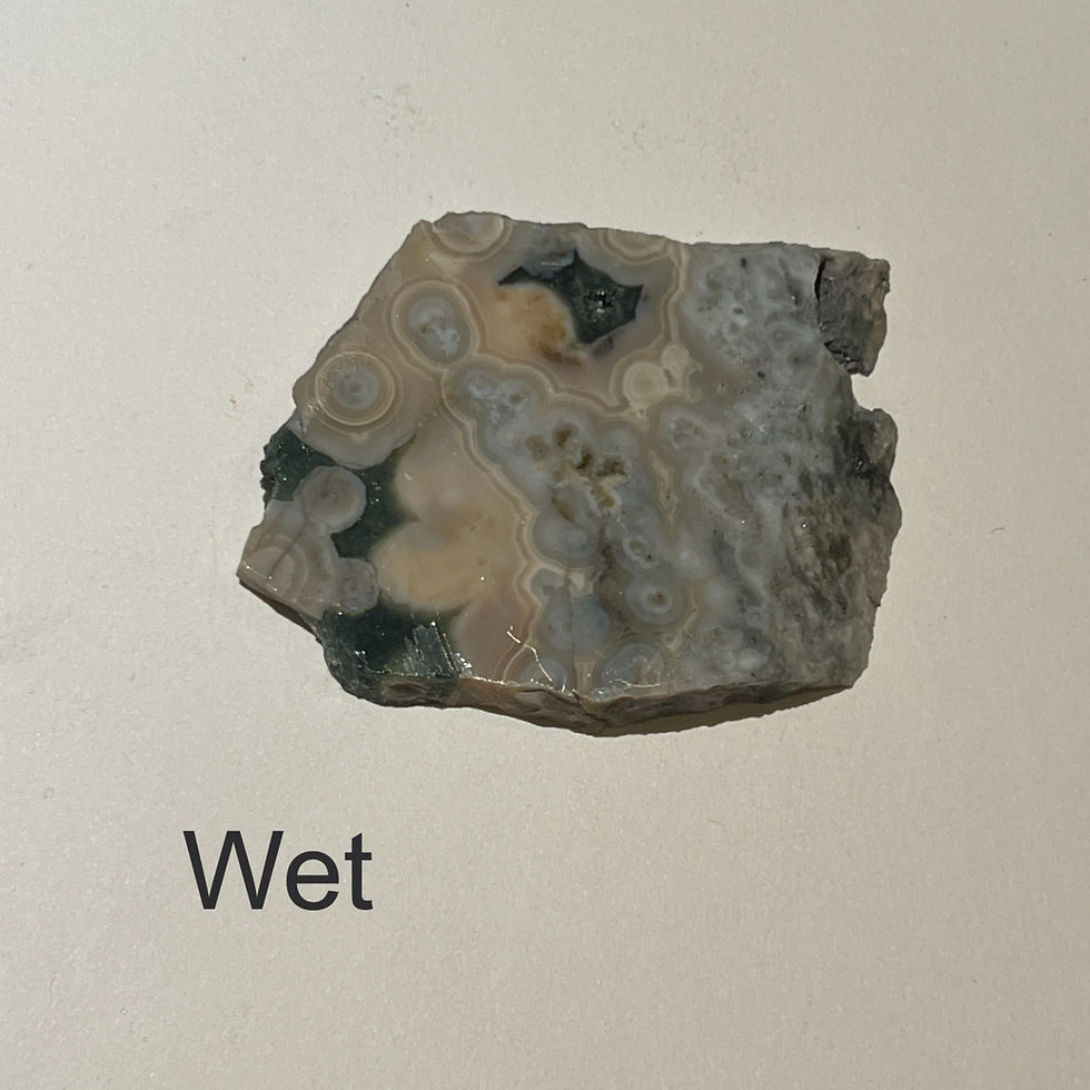 Thumbnail: Tapered Orbicular Sea-Like Jasper